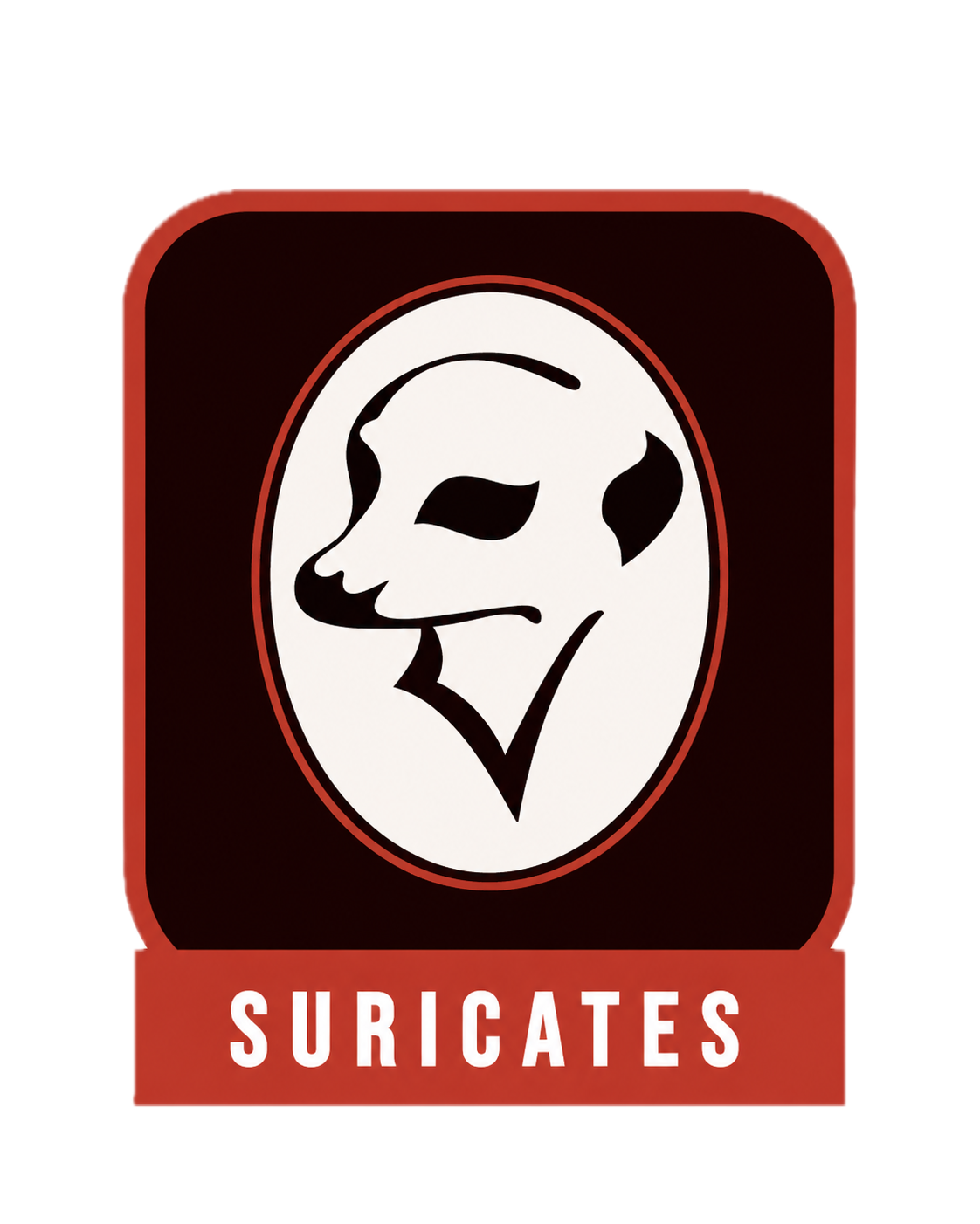 Projeto Suricates